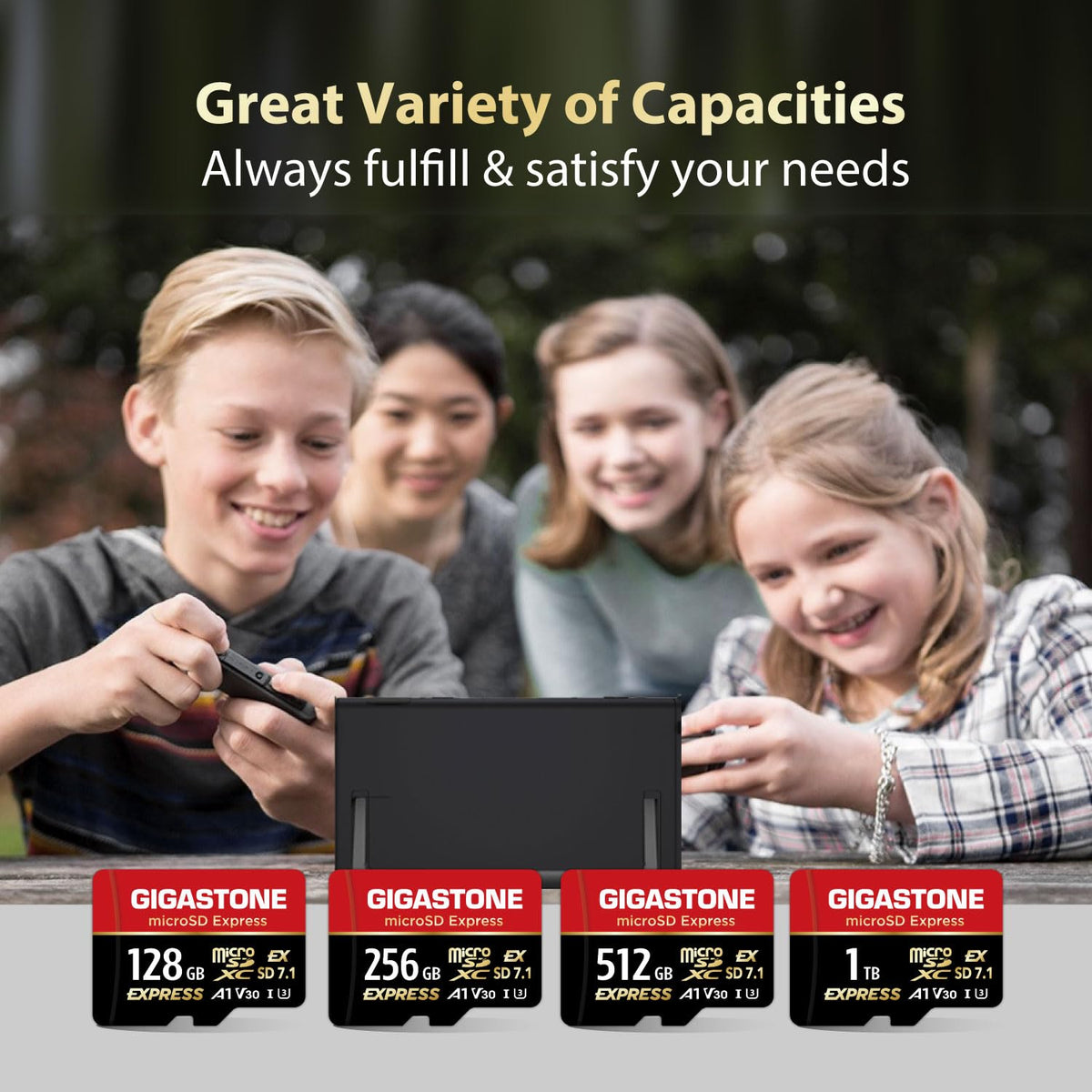 【Designed for Switch 2】 GIGASTONE 512GB microSD Express R/W 880/650MB/s SDXC Memory Card SD 2.0 3.0 5.0 7.1 UHS-I UHS-II, Action Camera Drone, V30 U3, SD Adapter 【5-Years Data Recovery】 - Flex Gamingproduct_type