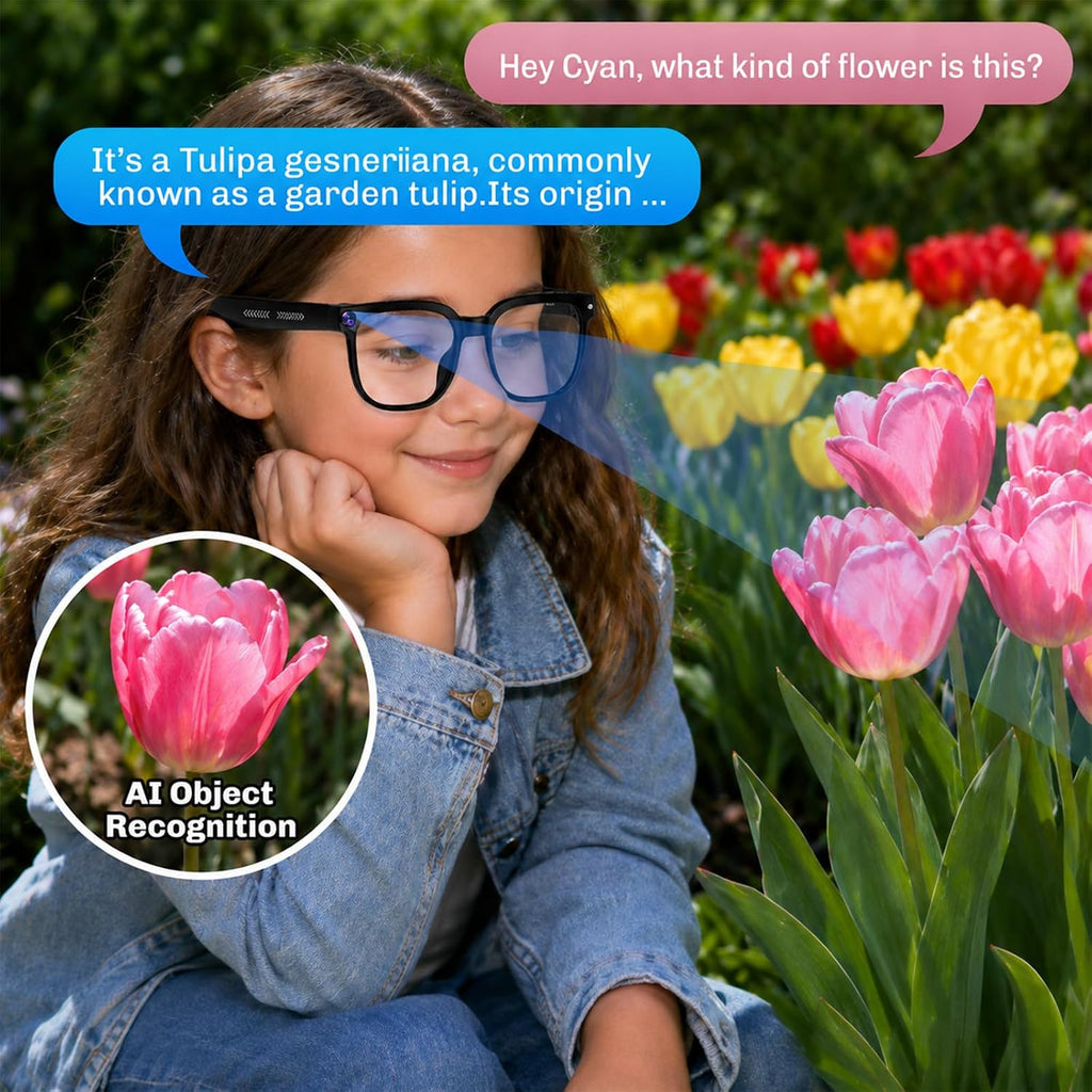AI Smart Glasses with 4K Camera & Real-Time Translation - Flex Gamingproduct_type