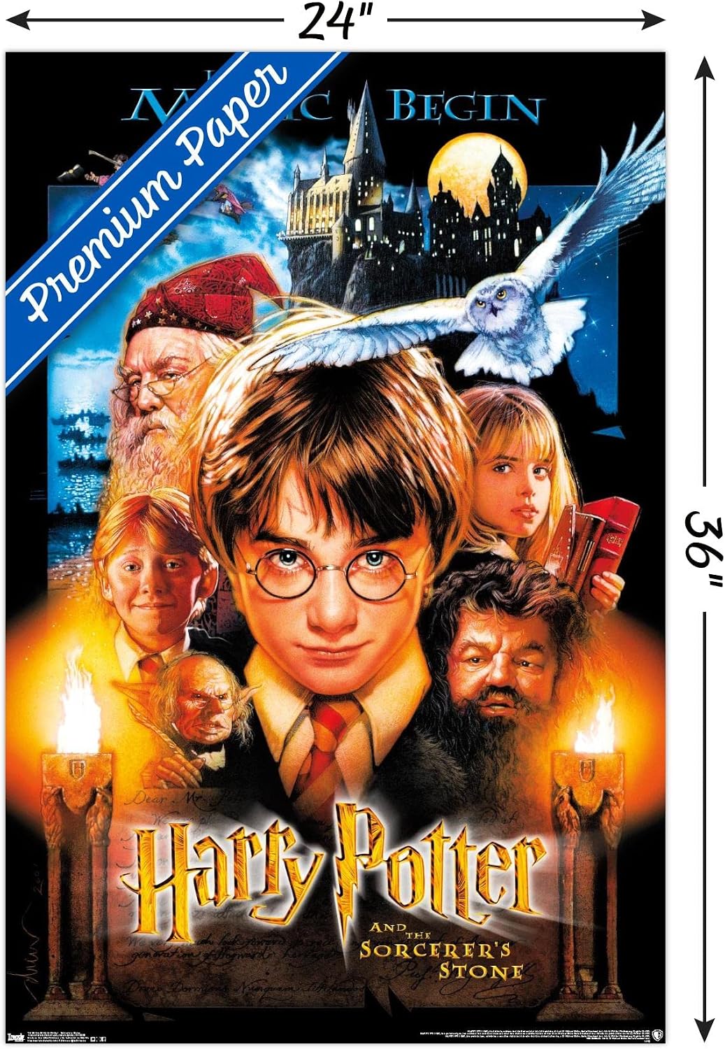 Harry Potter Sorcerer's Stone Wall Poster 24x36 – 3 Options - Flex Gamingproduct_type