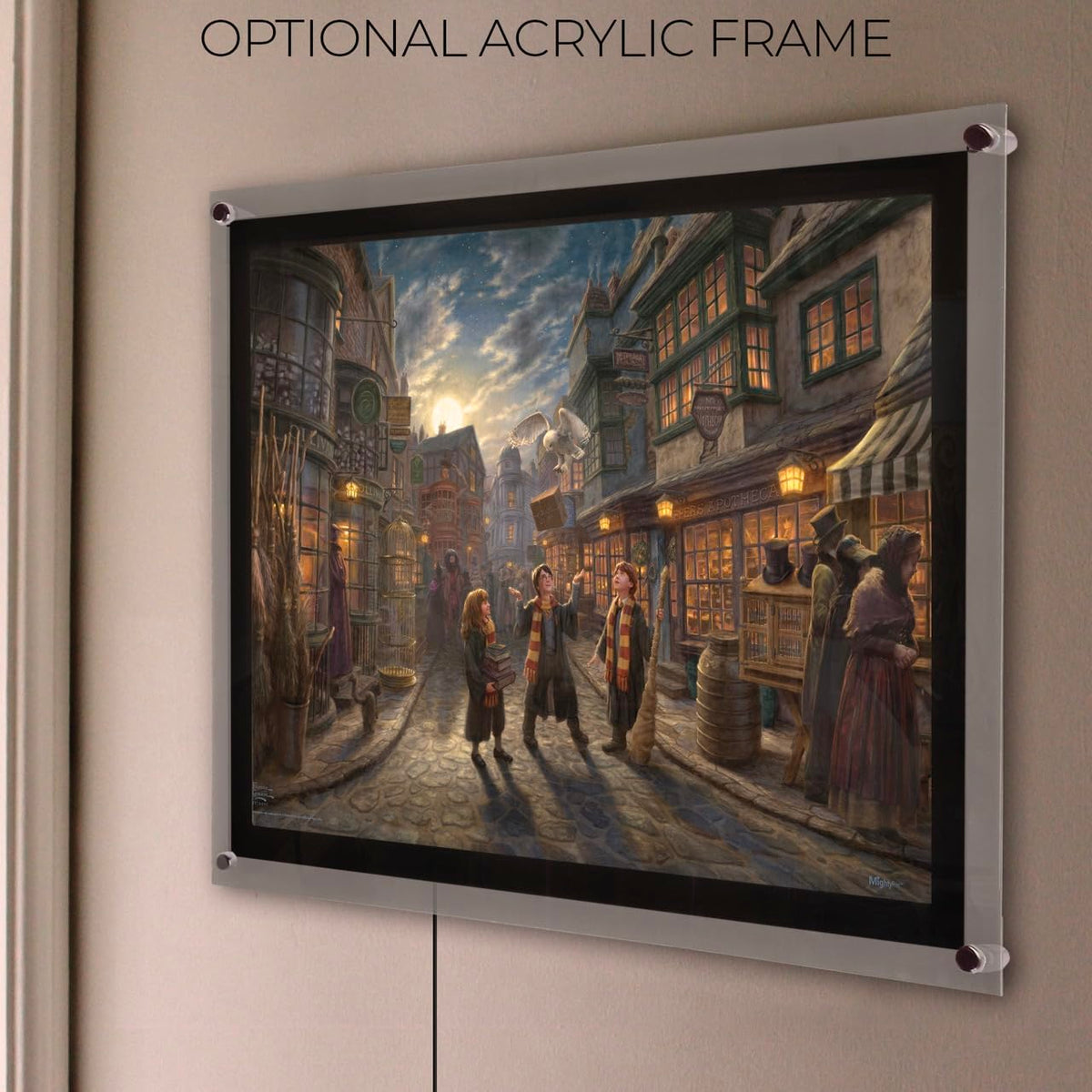 MightyPrint Harry Potter Wall Art 24x17 – 6 Designs - Flex Gamingproduct_type