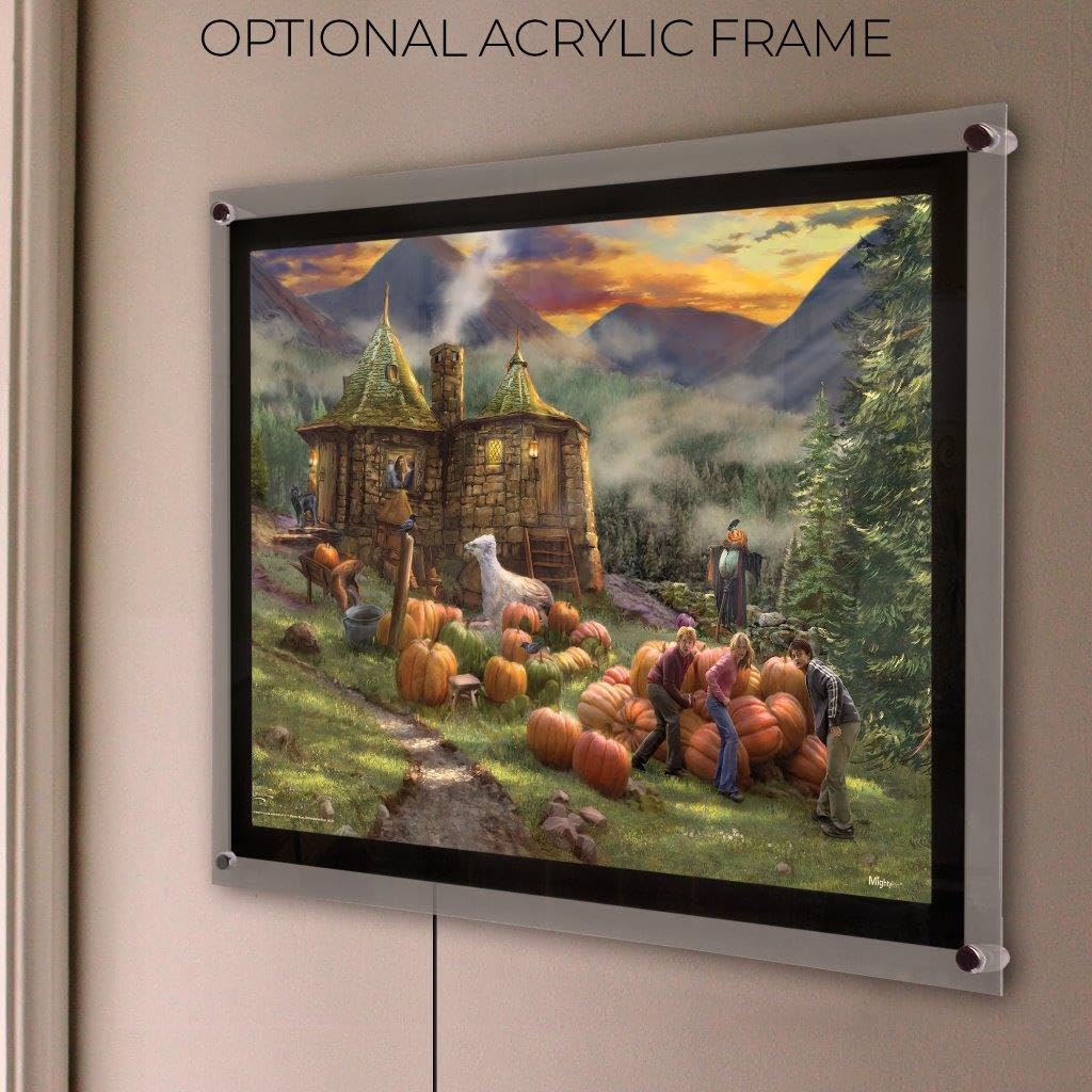 MightyPrint Harry Potter Wall Art 24x17 – 6 Designs - Flex Gamingproduct_type