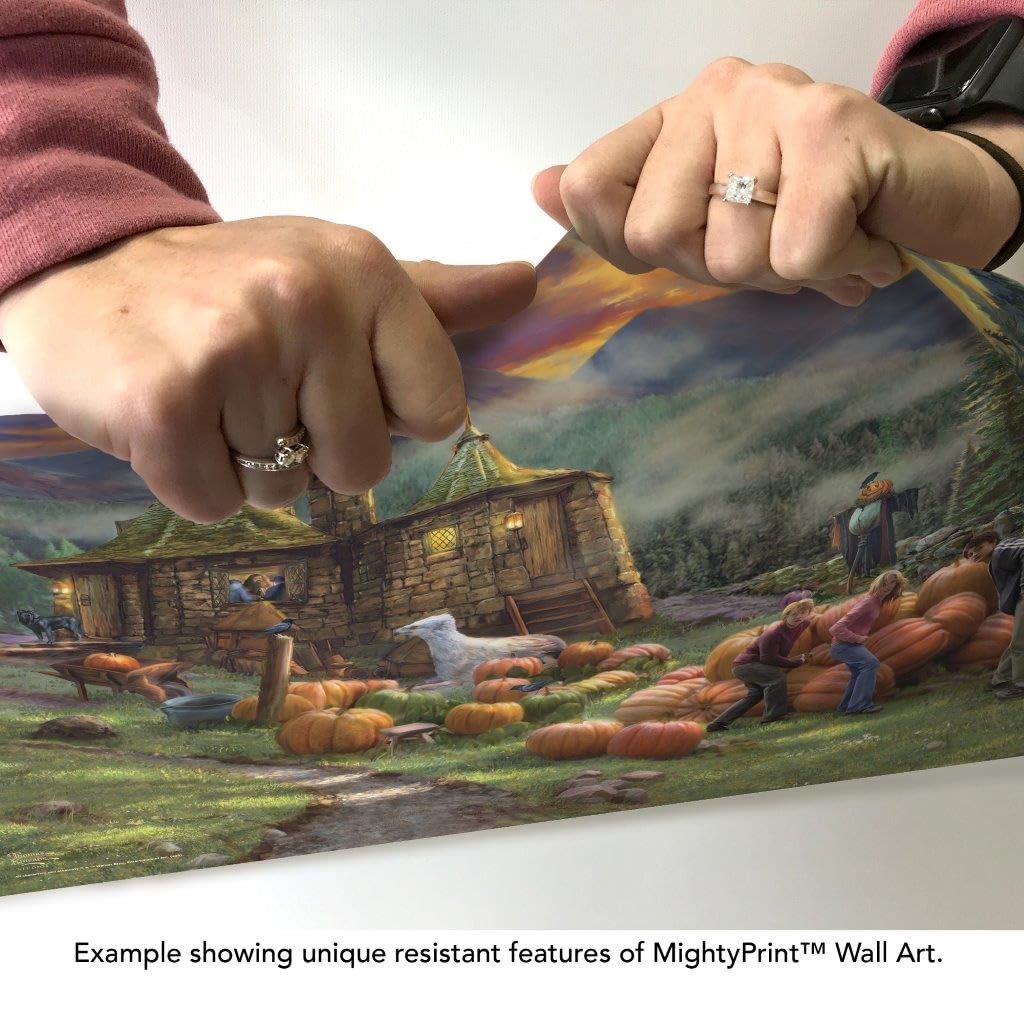 MightyPrint Harry Potter Wall Art 24x17 – 6 Designs - Flex Gamingproduct_type