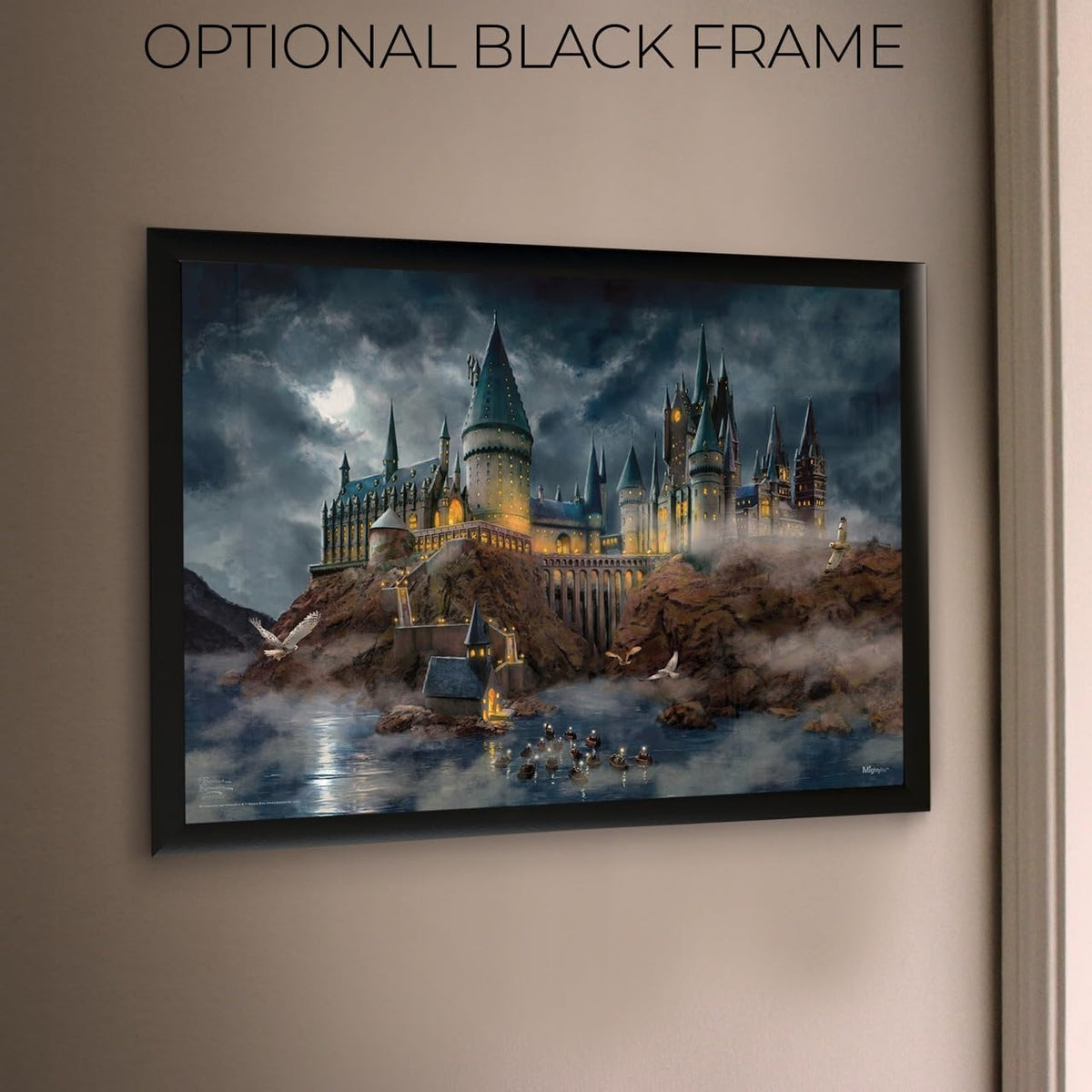 MightyPrint Harry Potter Wall Art 24x17 – 6 Designs - Flex Gamingproduct_type