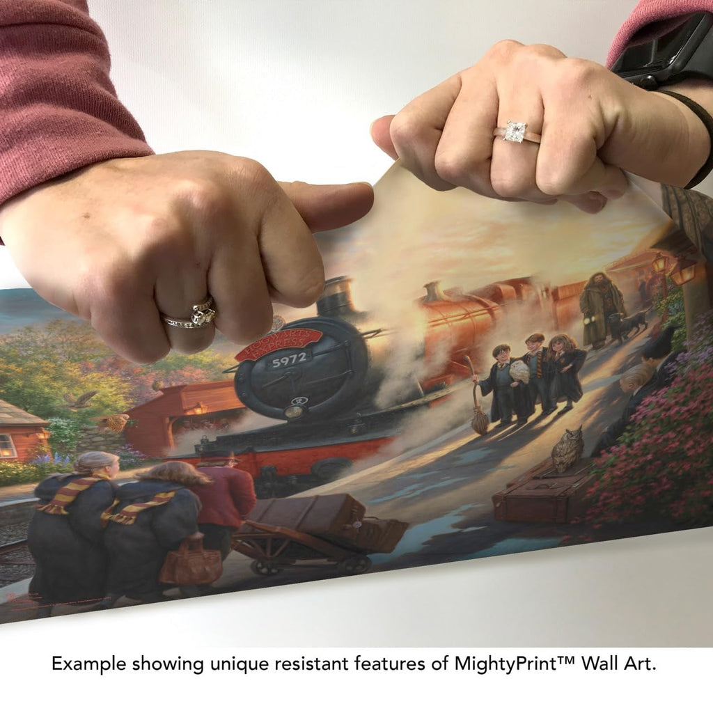 MightyPrint Harry Potter Wall Art 24x17 – 6 Designs - Flex Gamingproduct_type