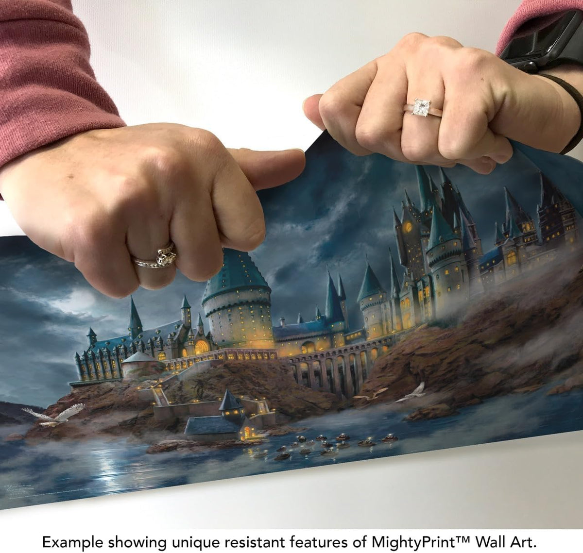 MightyPrint Harry Potter Wall Art 24x17 – 6 Designs - Flex Gamingproduct_type