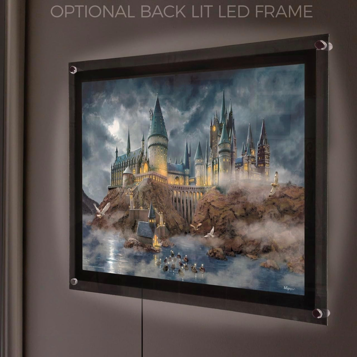 MightyPrint Harry Potter Wall Art 24x17 – 6 Designs - Flex Gamingproduct_type
