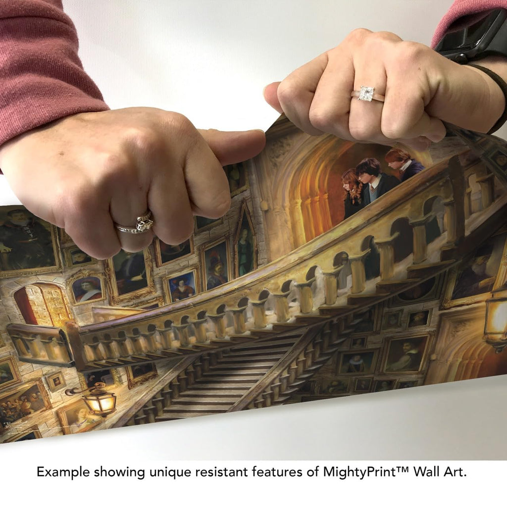 MightyPrint Harry Potter Wall Art 24x17 – 6 Designs - Flex Gamingproduct_type