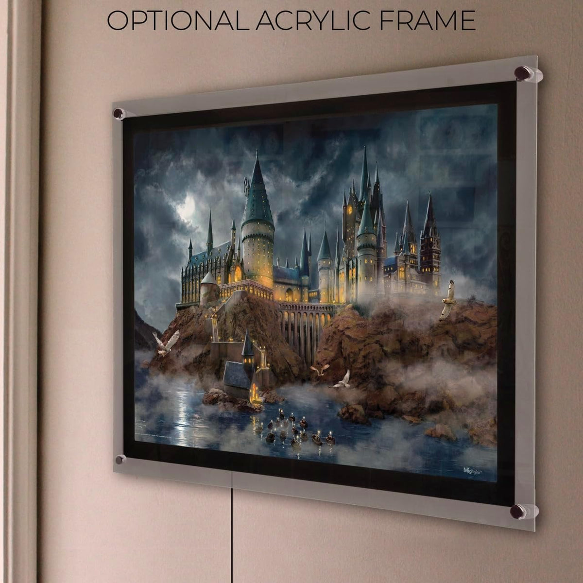 MightyPrint Harry Potter Wall Art 24x17 – 6 Designs - Flex Gamingproduct_type