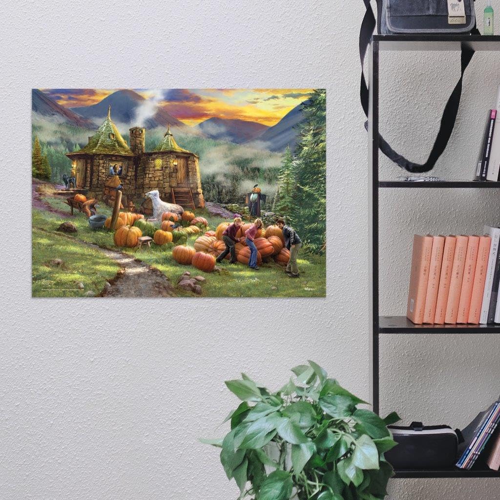 MightyPrint Harry Potter Wall Art 24x17 – 6 Designs - Flex Gamingproduct_type