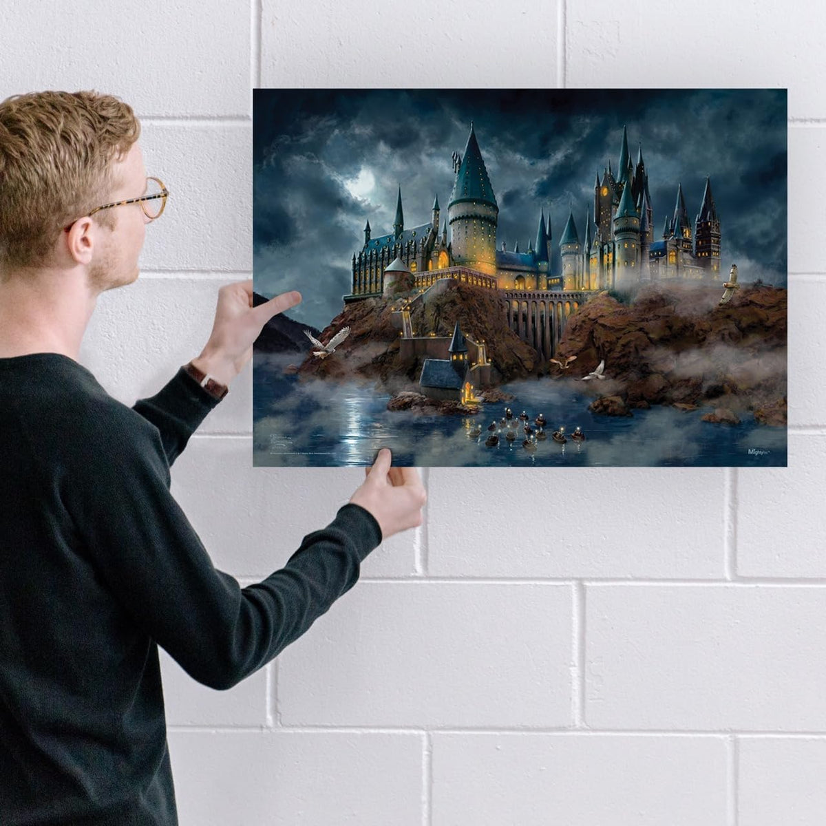 MightyPrint Harry Potter Wall Art 24x17 – 6 Designs - Flex Gamingproduct_type
