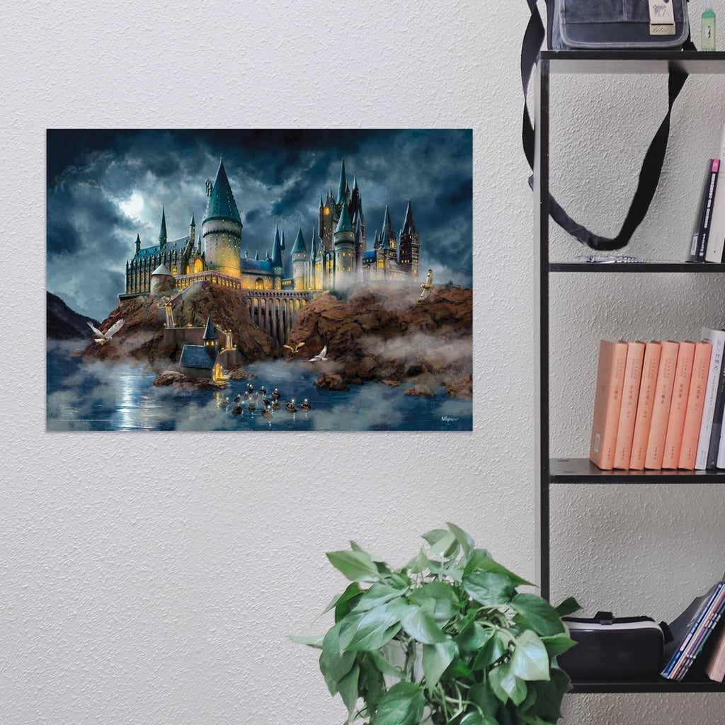 MightyPrint Harry Potter Wall Art 24x17 – 6 Designs - Flex Gamingproduct_type