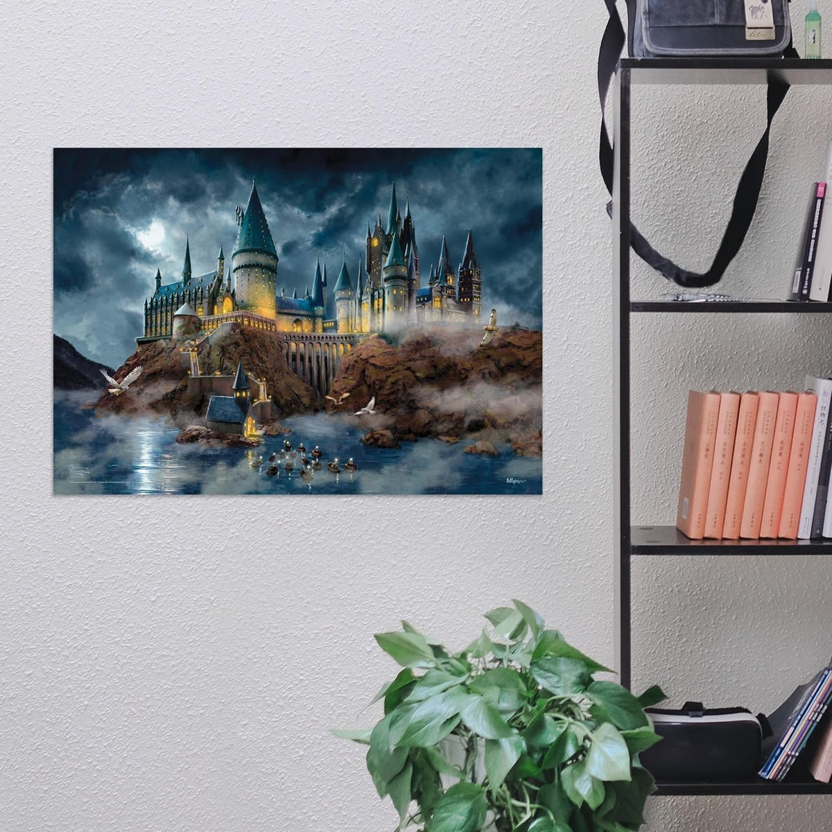 MightyPrint Harry Potter Wall Art 24x17 – 6 Designs - Flex Gamingproduct_type