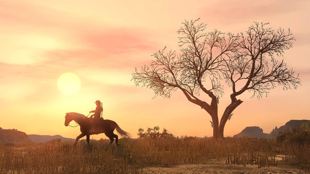 Red Dead Redemption – PS5, PS4 & Switch - Flex Gamingproduct_type