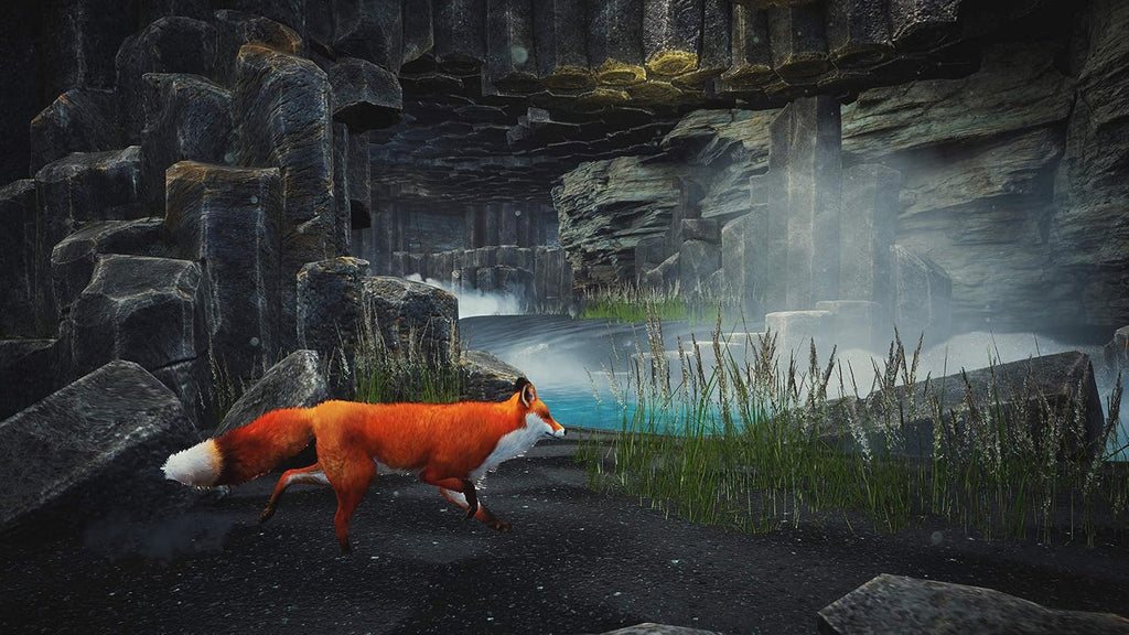Spirit of the North – PS5 - Flex Gamingproduct_type