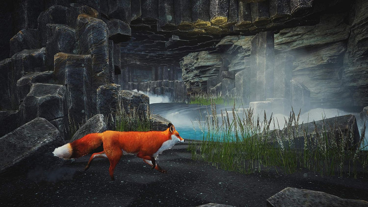 Spirit of the North – PS5 - Flex Gamingproduct_type