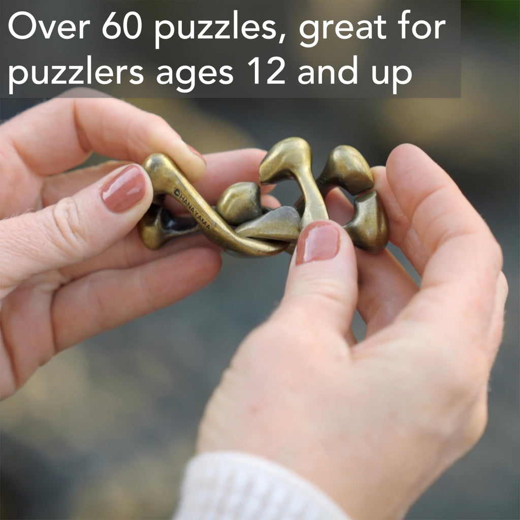 The Legend of Zelda Hanayama Metal Brain Teaser – 5 Designs - Flex Gamingproduct_type